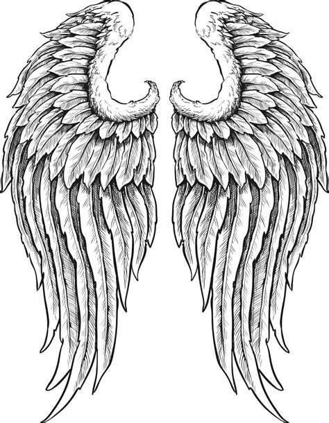 angel wing drawings